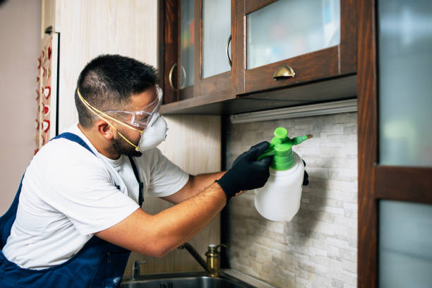 Best Pest Control for Businesses  in Thornport, OH
