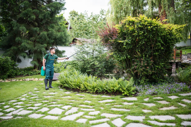 Best Local Pest Control Services  in Thornport, OH