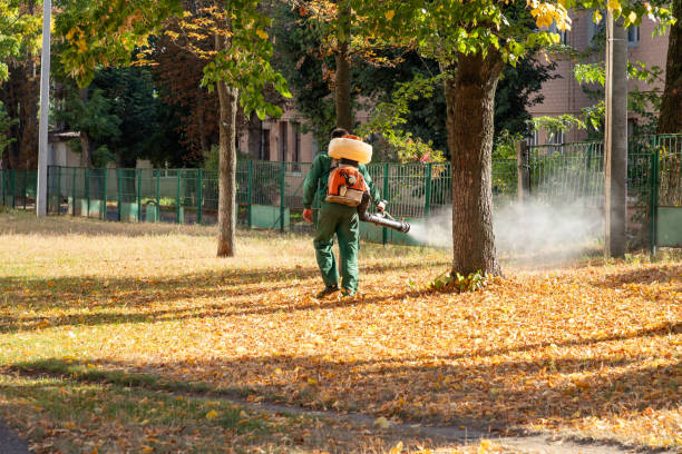 Best Bird Control  in Thornport, OH