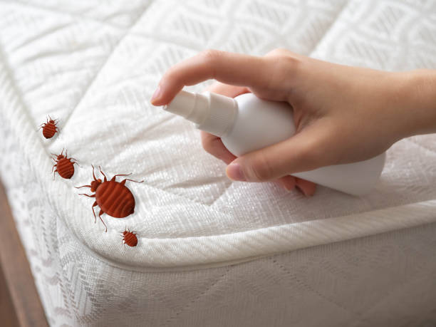 Best Pest Control for Businesses  in Thornport, OH