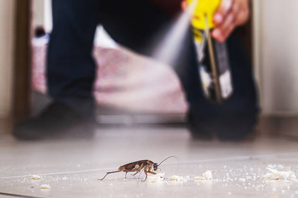 Best Pest Control Near Me in Thornport, OH