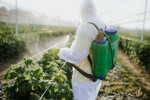 Best Exterminator Services  in Thornport, OH